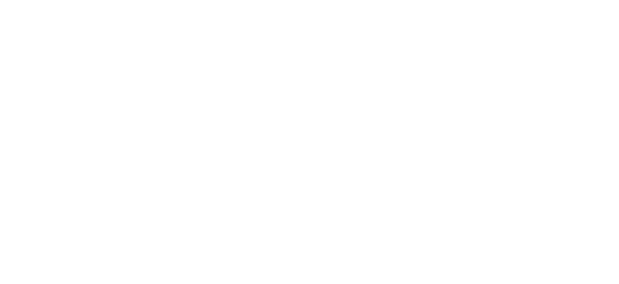 Partner 4 - Play R Game